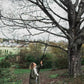 Fiskars 2-in-1 Extendable Tree Pruner and Pole Saw (Extends 7.9 - 12 feet) with Rotating Head, Pruning Stik Model with15-Inch Double-Grind Saw Blade, and Double Locking System
